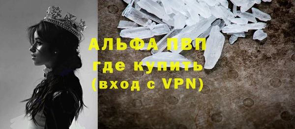 трава Абаза